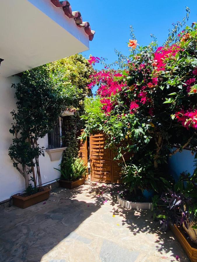 Bed and breakfast Palma Marbella